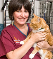 Đồng phục bác sĩ thú y 10, dong phuc bac si thu y 10 | Đồng phục bác sĩ thú y 04