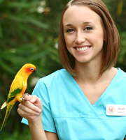 Tập đoàn Phúc Sơn | Đồng phục bác sĩ thú y 11