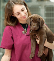 Áo Blouse 07, ao Blouse 07 | Đồng phục bác sĩ thú y 15