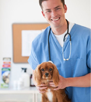 Đồng phục y tá 13, dong phuc y ta 13 | Đồng phục bác sĩ thú y 16