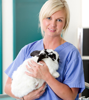 Đồng phục điều dưỡng 04, dong phuc dieu duong 04 | Đồng phục bác sĩ thú y 17