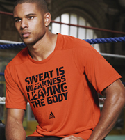 Áo thun team building 24 | May Dong phuc