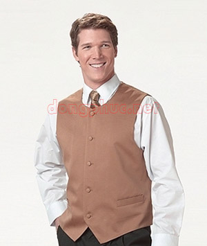 Áo gile công sở 06 | May Dong phuc