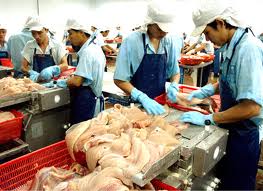 Đồng phục công nhân tại Bắc Ninh | May Dong phuc