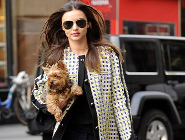 Mix đồ thu đông chất như sao Hollywood | May Dong phuc