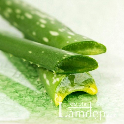 images580713_ptg00840048